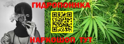 крисы Азнакаево