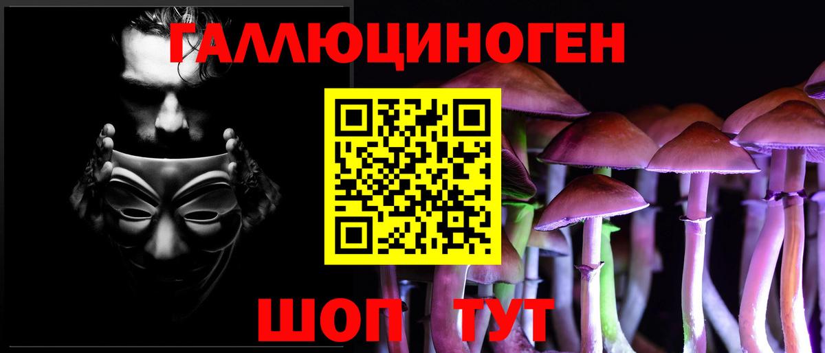 Галлюциногенные грибы MAGIC MUSHROOMS  Псилоцибиновые грибы Cubensis  Азнакаево  Вход с VPN 